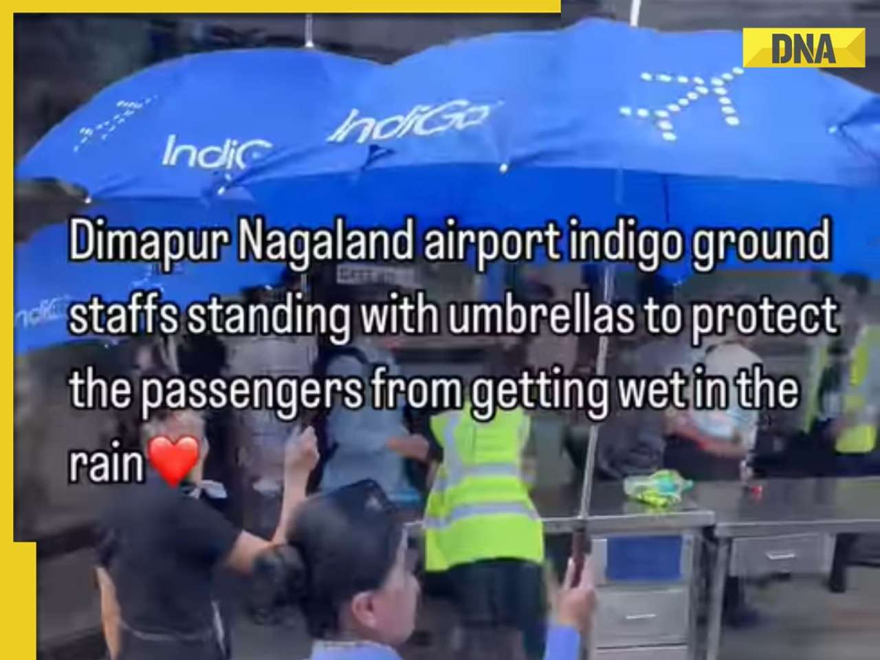 Viral: IndiGo crew protects passengers from rain, watch heartwarming video
