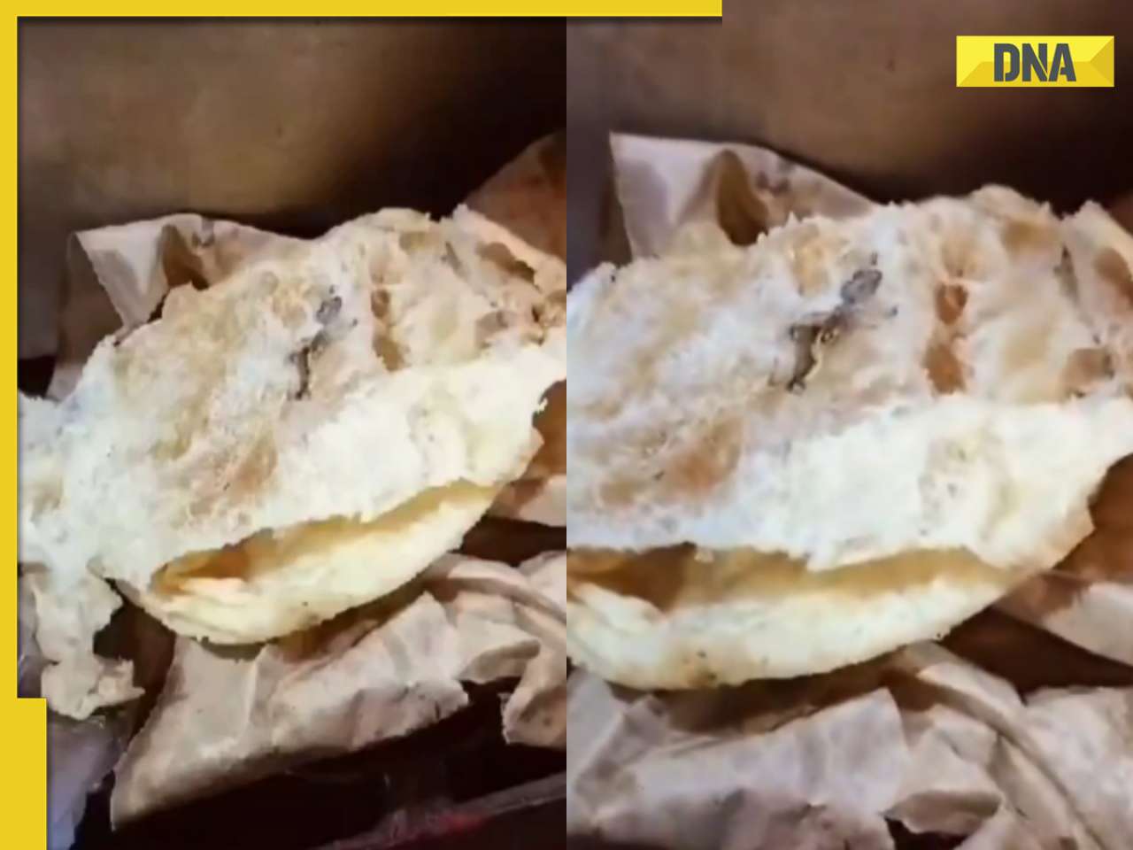 Viral video: Dead lizard found in chole bhature at Delhi's Jahangirpuri sparks outcry for street food ban