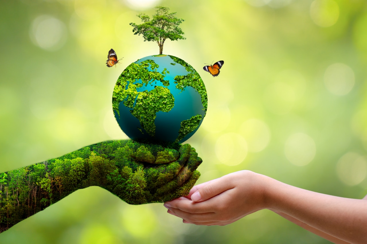 World Environment Day 2024: Date, history, significance and theme