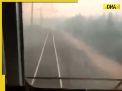 Viral video: Train passes through burning forest amid Russia's wildfires, watch